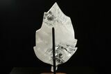 Beautiful, Polished Quartz Leaf with Stand - Madagascar #338392-2